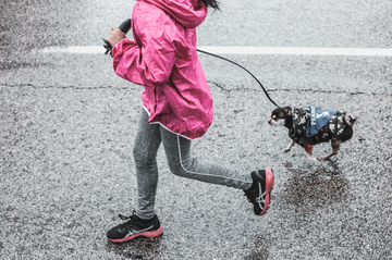 Running with Man's Best Friend